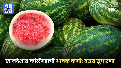 Watermelon