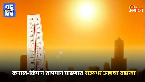 Summer Weather