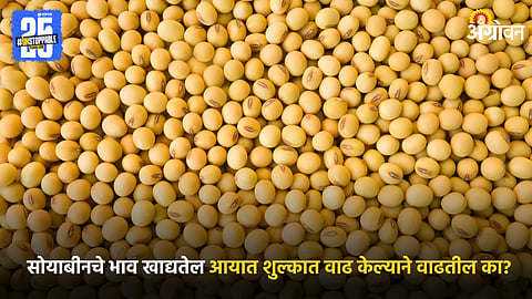 Soybean