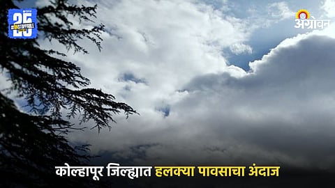 Rain Forecast