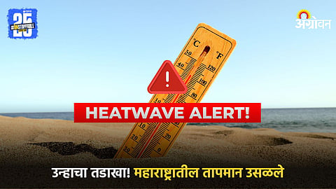 Heatwave