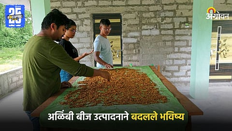 Mushroom Farming
