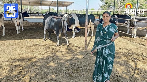 Women Entrepreneurship In Dairy Business