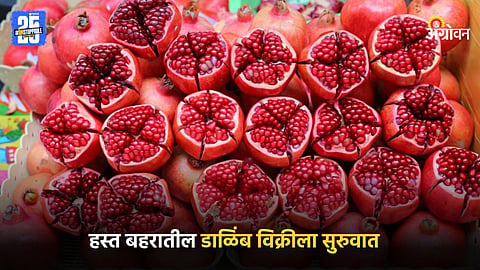 Pomegranate