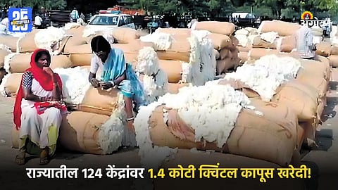 Cotton