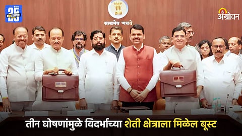 Maharashtra Budget 2025