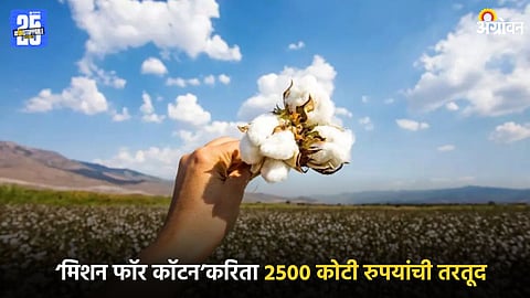 Cotton