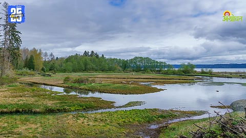 Wetland