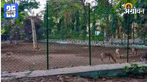 Solapur Zoo