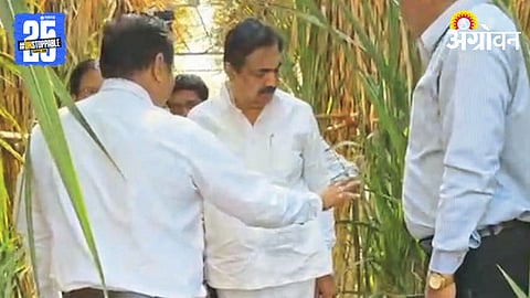 Jayant Patil