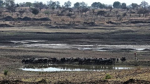 Water Shortage Dharashiv