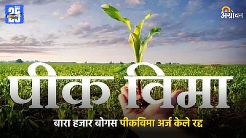 Crop Insurance