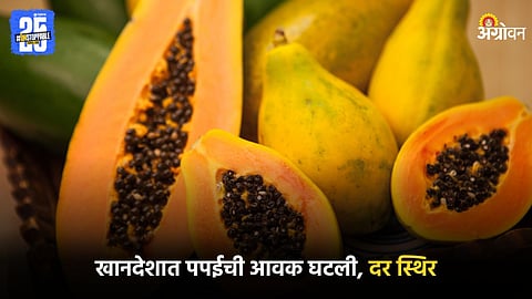 Papaya