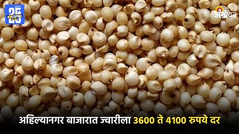 Jowar