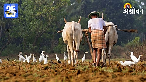 Agriculture Scheme