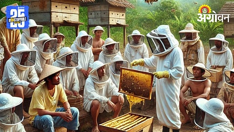Beekeeping Training