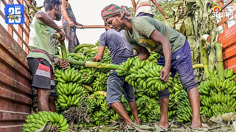 Banana