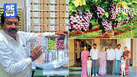 Grape Farming