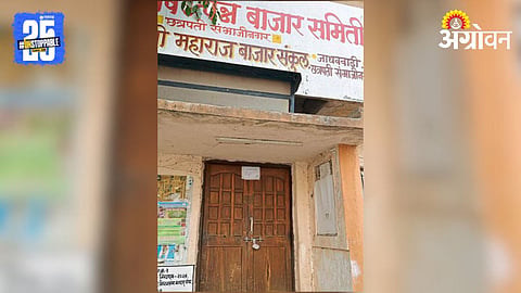 APMC Market
