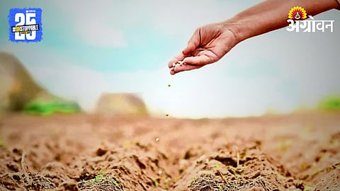 Kharif Sowing