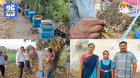 Beekeeping