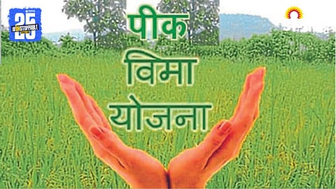 Crop Insurance