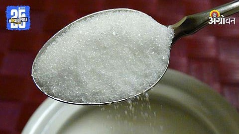 Sugar Production