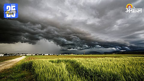 Weather