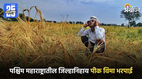 Indian Farmer