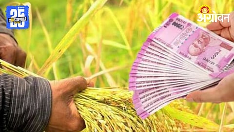 Crop Loan
