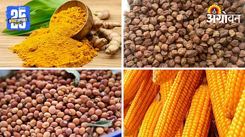 Agriculture Commodity Market