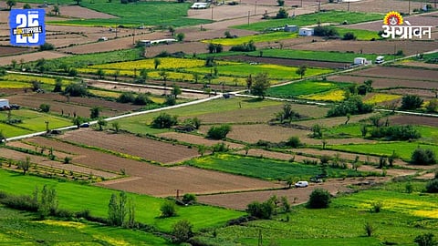 Agriculture Land