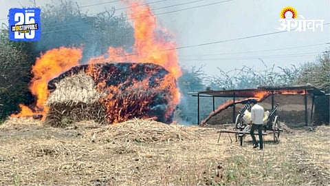 Fodder Fire