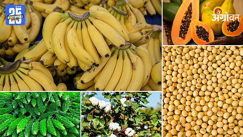 Market Products
