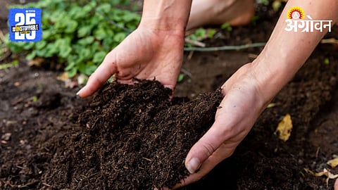 Soil Fertility