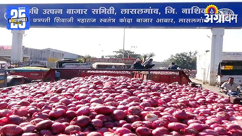 Lasalgaon APMC