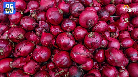 Onion Market