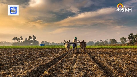 Farmer Loan Wavier
