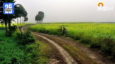 Farm Road