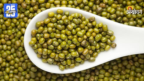 Moong