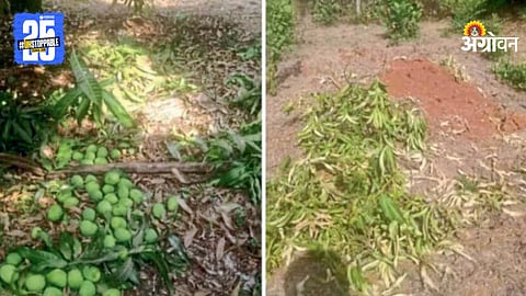 Crop Damage