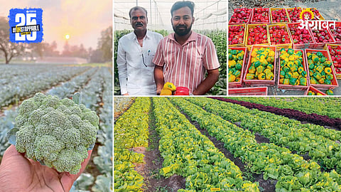 Agriculture