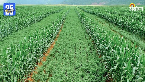 Agriculture
