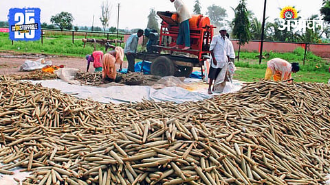 Harvesting