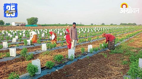 Water Scarcity
