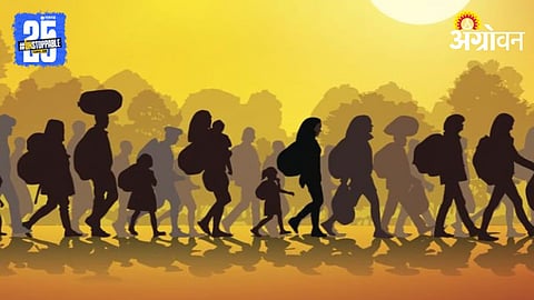 Migrant Labor