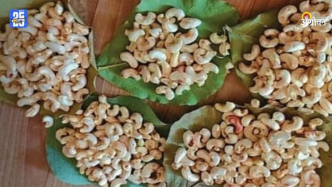Cashew Rate