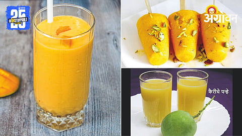 Mango Processing