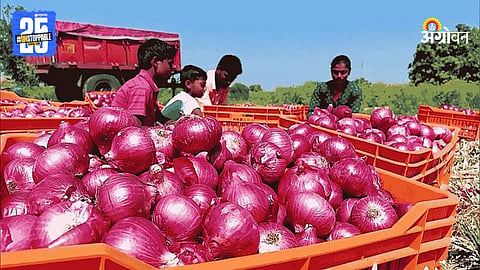 Onion