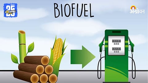 Biofuel